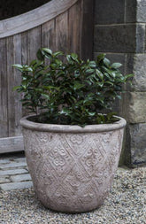 Campania Jacquard Planter - Set of 3